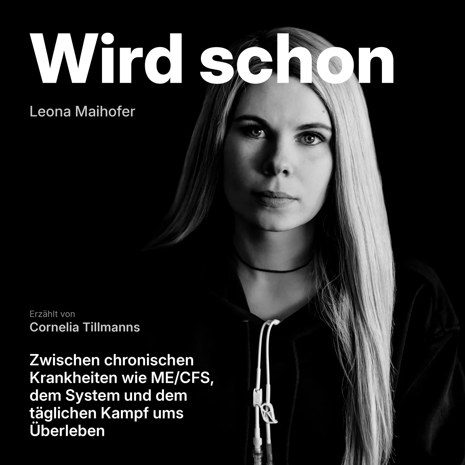Cover des Hörbuchs „Wird schon“